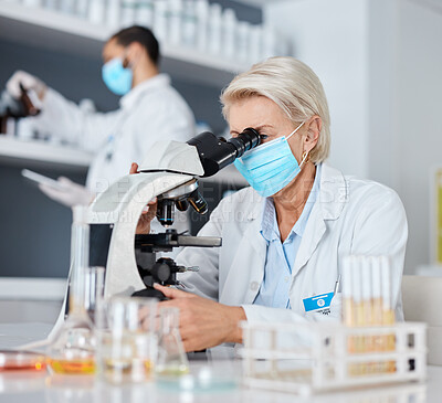Buy stock photo Scientist woman, microscope and bacteria analysis in laboratory for research at pharma company. Science team, man and data analytics in biotechnology for goals, vision and study to stop covid in lab