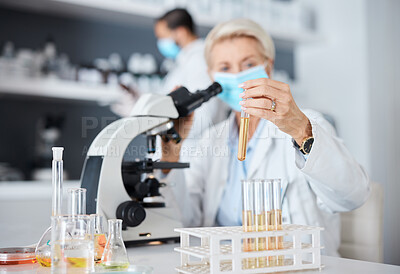 Buy stock photo Microscope, face mask and science woman analysis of bacteria, virus or covid liquid solution in laboratory. Biotechnology, vaccine research or medicine study of scientist or medical person test tube