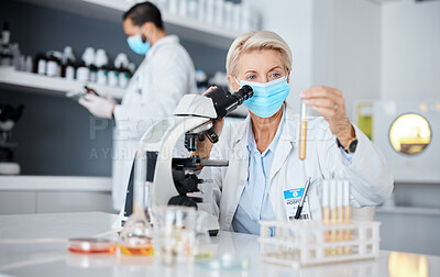 Buy stock photo Microscope, face mask and scientist woman analysis of bacteria, virus or covid liquid solution in laboratory. Biotechnology, vaccine research or medicine study of science person, expert and test tube