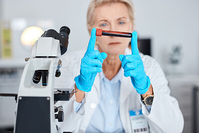 Buy stock photo Senior woman, doctor and hands with blood test, vial or sample for scientific research, testing or exam in a lab. Elderly female scientist or medical expert holding DNA for science at laboratory