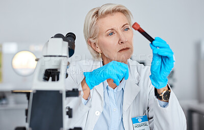 Buy stock photo Senior woman, doctor and hands with blood sample, vial or tube for scientific research, testing or exam in a lab. Elderly female scientist or medical expert holding DNA for science test at laboratory