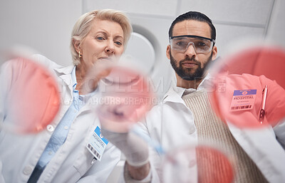 Buy stock photo Teamwork, laboratory and science by scientists in analytics research a sample in a lab working for results. Professional, expert and medical technician in a laboratory as team, DNA and collaboration