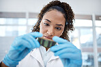 Microchip, research and scientist looking at dna, digital analysis and investigation in a lab. Analytics, science and woman holding an engineering circuit for scientific experiment on electronics