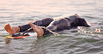 Surfing, ocean and man float on water feeling relax, calm and freedom in nature. Sea, exercise and fitness of a young male on a surfboard with rest in tropical waters ready for surf and sports