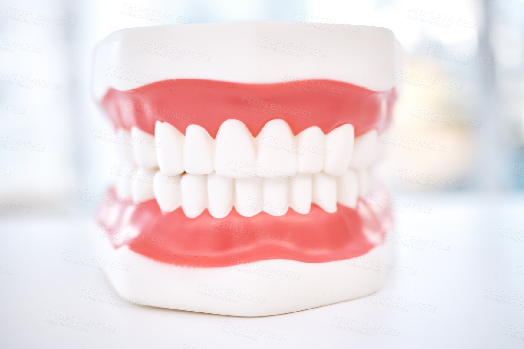 Buy stock photo Dental, teeth model and orthodontics with healthcare and closeup, oral hygienist and health insurance. Veneers, dentistry equipment and healthy gums with fresh breath, medical and tooth care
