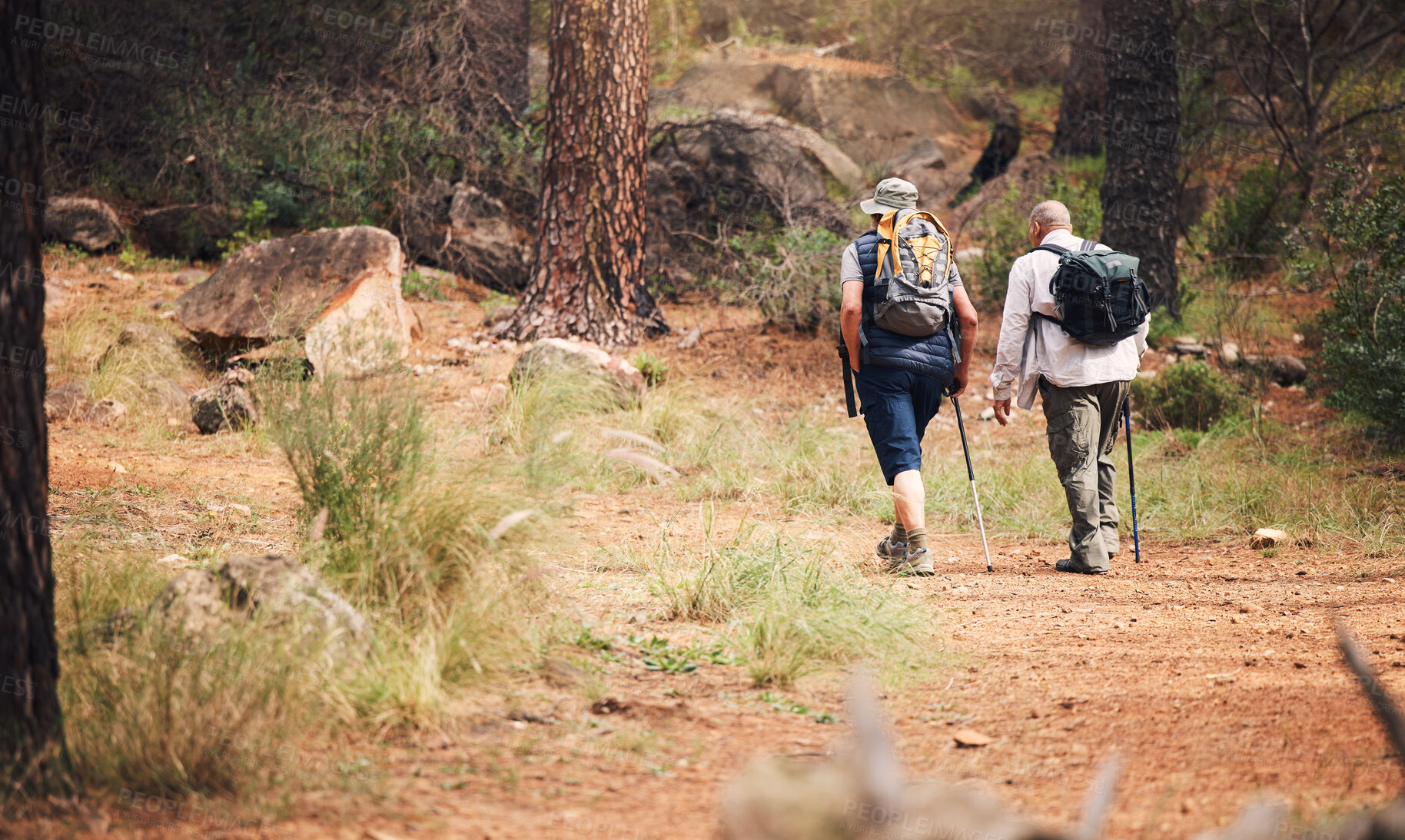 Buy stock photo Hiking, forest and people on adventure in nature for fitness, exercise and trekking with backpack. Senior men as friends together outdoor for a hike for freedom, health and wellness in retirement