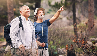 Buy stock photo Bird watching, looking and mature men in nature for travel, walking and on a backpack adventure in Norway. Search, view and elderly friends hiking and pointing at environment in the mountains