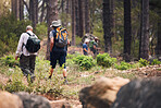 Hiking, fitness and people walking in forest for adventure, freedom and wellness in woods. Travel, outdoors and group of hikers in natural environment for exercise, trekking and cardio workout 