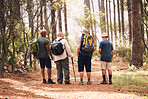 Hiking, fitness and group of friends in forest for adventure, freedom and sports on mountain trail. Travel, retirement and back of senior hikers for exercise wellness, trekking and cardio workout