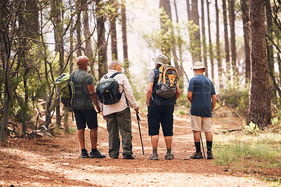 Buy stock photo Hiking, fitness and group of friends in forest for adventure, freedom and sports on mountain trail. Travel, retirement and back of senior hikers for exercise wellness, trekking and cardio workout