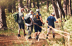 Hiking, trekking and group of friends in forest for adventure, freedom and cardio wellness on mountain trail. Travel, retirement and back of senior hikers for exercise, fitness and sports workout