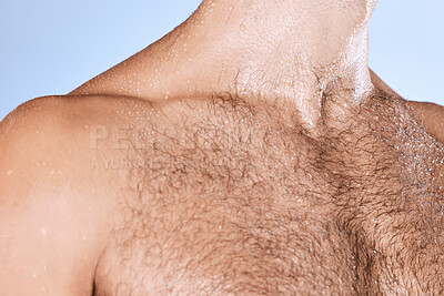 Buy stock photo Water drops, wet chest and closeup man in shower for cleaning, care and wellness on background. Beauty, human body and hairy male in studio for washing, grooming and hygiene cosmetics for skincare 