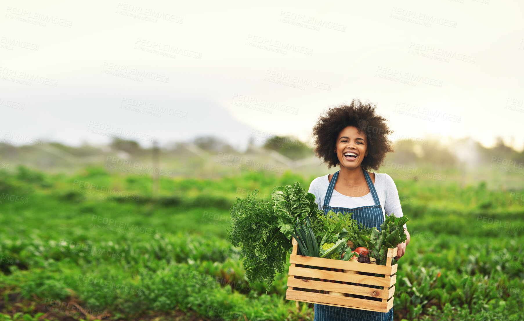 Buy stock photo Agriculture, farm and portrait of black woman with vegetables, natural produce and organic food in field. Sustainability, agribusiness and farmer with box for eco farming, gardening and harvesting