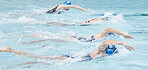 Swimming, water and race with a sports woman group in a pool for fitness, training or competition. Workout, exercise and swimmer with an athlete team racing for cardio or endurance during a swim