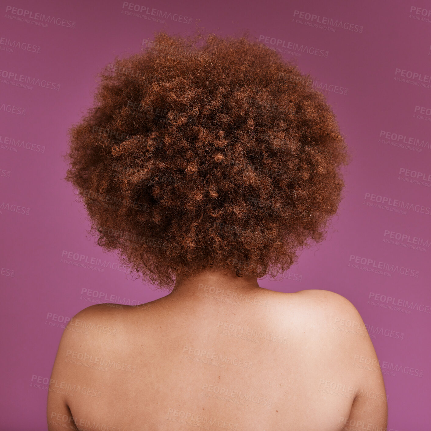 Buy stock photo Rear view, black woman and afro of hair in studio for ethnicity texture, headshot and pink background. Back of african model, curly haircare cosmetics and beauty for skincare, scalp and salon shampoo