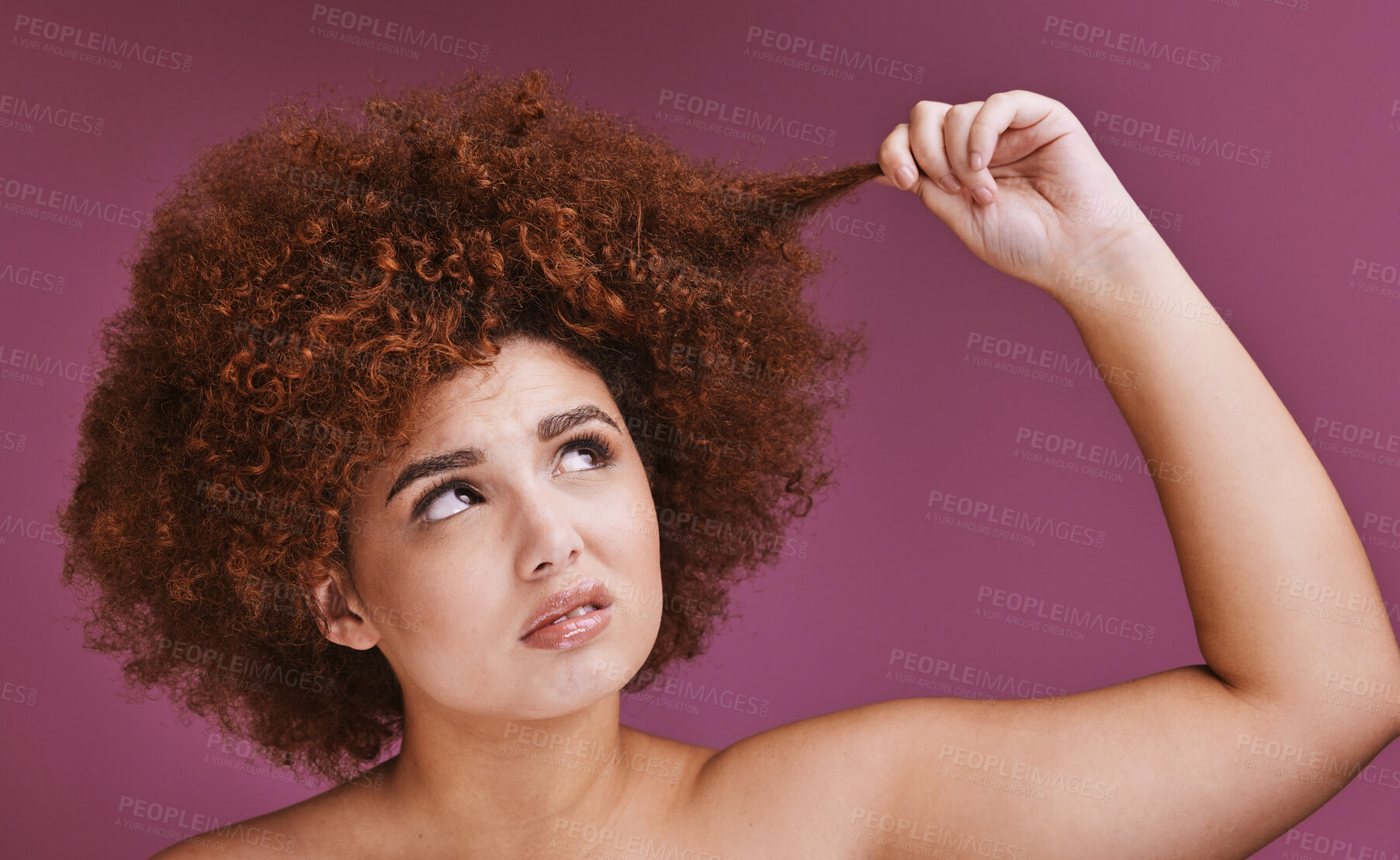 Buy stock photo Face stress, hair loss or afro on beauty studio background in grooming, texture anxiety or fail. Woman, hand or natural hairstyle with damage, split ends or frizzy knot on isolated skincare backdrop