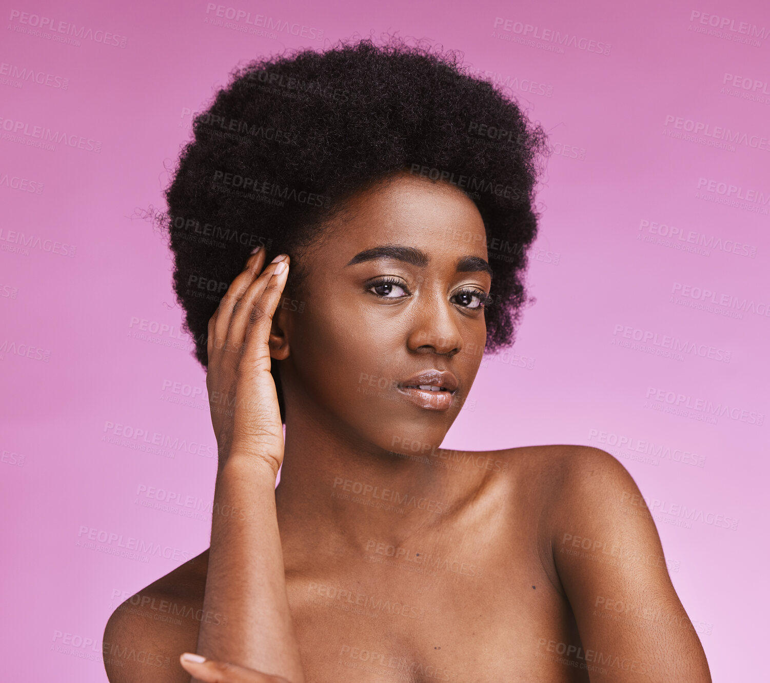 Buy stock photo Afro, natural and hair with portrait of black woman in studio for beauty, wellness and grooming on purple background. Haircare, hairstyle and face of girl model relax with luxury, hygiene and routine