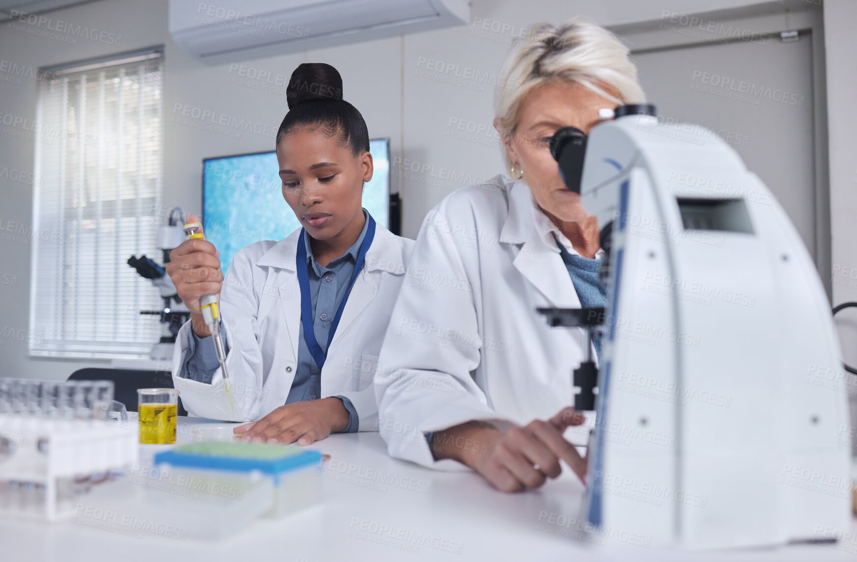 Buy stock photo Research, microscope and science women for teamwork, medical analysis of liquid in laboratory. Biotechnology, pharmaceutical medicine test and scientist or student black woman and professional senior