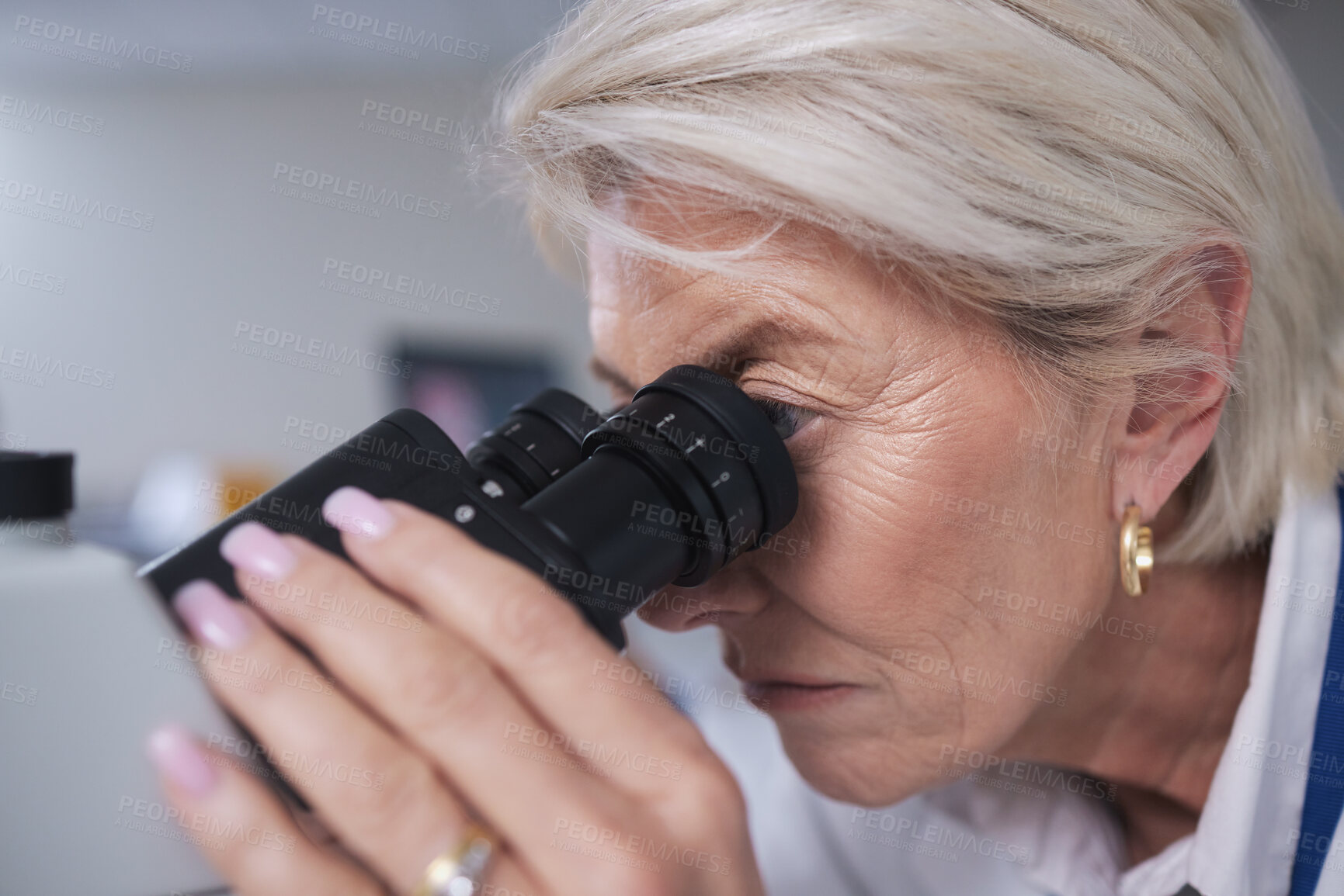 Buy stock photo Doctor, microscope and senior woman in laboratory for research, experiment or innovation. Science, biotechnology and elderly female scientist with medical equipment for sample analysis or testing.