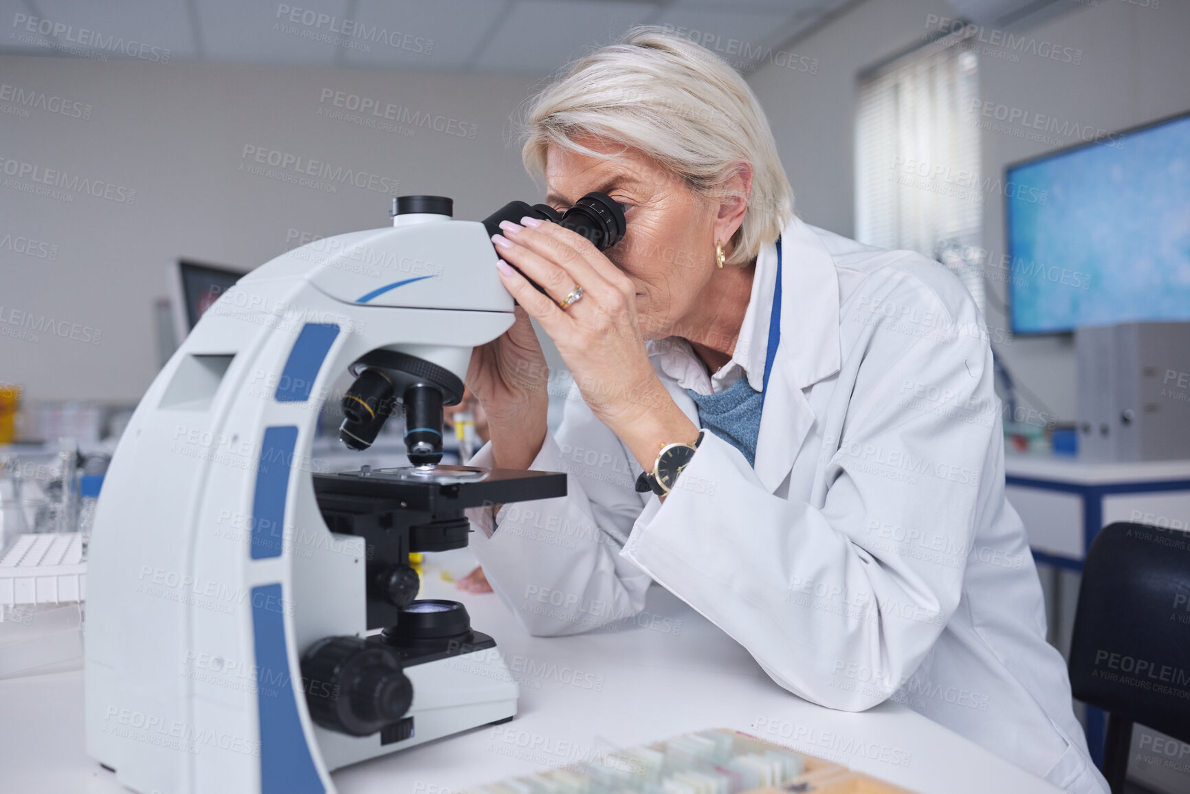 Buy stock photo Senior woman, microscope and doctor in laboratory for research, experiment or innovation. Science, biotechnology and elderly female scientist with medical equipment for sample analysis or testing.