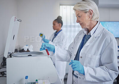 Buy stock photo Science, laboratory or woman with blood in test tube for medical search, healthcare or dna research. Biotechnology, medicine lab or scientists doctor with fluid sample analysis, study or innovation