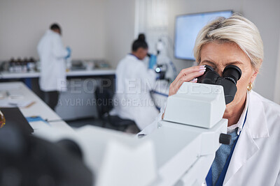 Buy stock photo Science, senior woman with microscope and data analysis in laboratory, research and breakthrough. Old female scientist, researcher and employee with lab equipment, healthcare or development with test