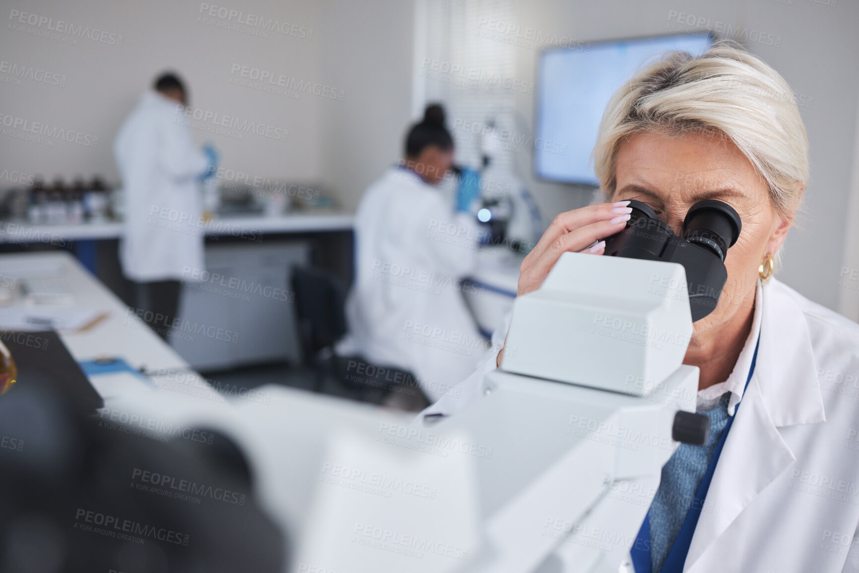 Buy stock photo Science, senior woman with microscope and data analysis in laboratory, research and breakthrough. Old female scientist, researcher and employee with lab equipment, healthcare or development with test