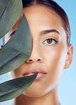 Leaf, skincare and portrait of a woman in a studio with a beauty, natural and facial treatment. Health, wellness and female model from Brazil with a plant for organic face routine by blue background.