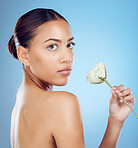 Rose, portrait and woman in studio for skincare, wellness and petal cosmetic on blue background. Face, flower and girl with organic product relax in luxury, beauty or natural, soft and aesthetic  