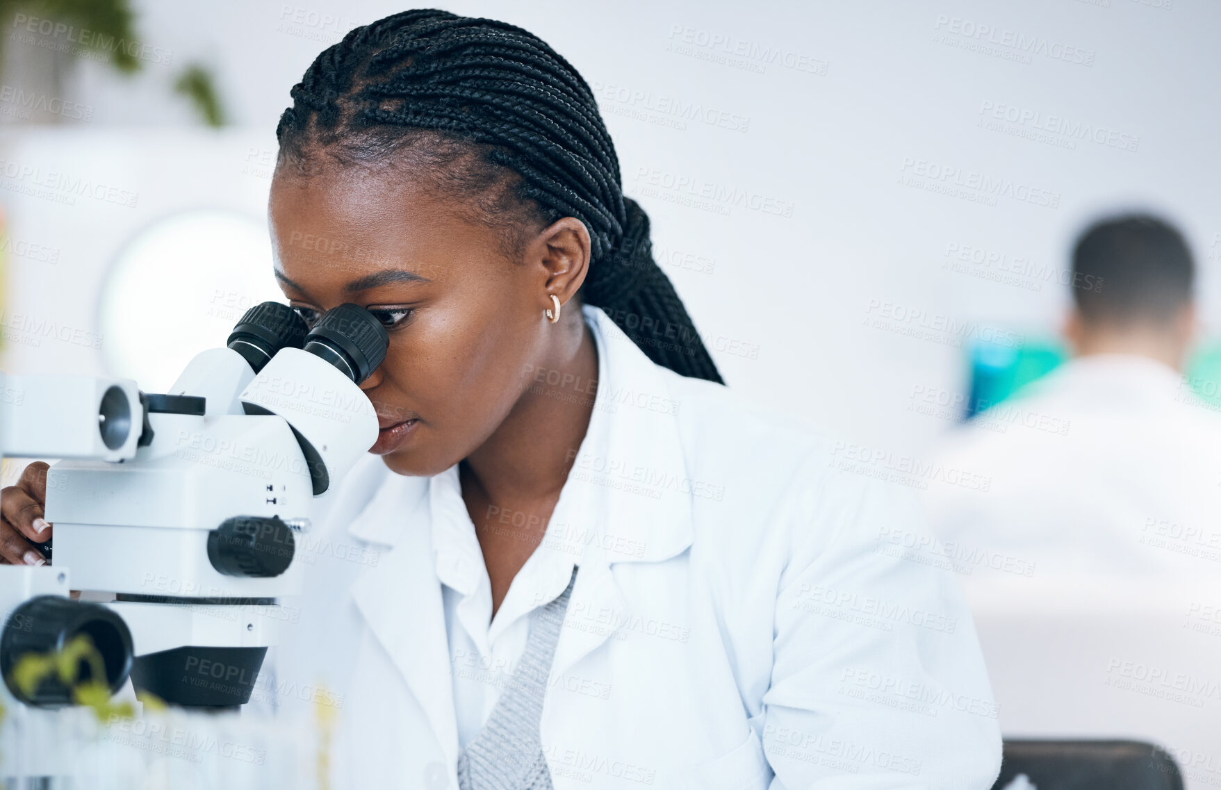 Buy stock photo Medical science, black woman and microscope in laboratory for research, analytics and medicine. Woman, doctor and scientist study at work for an investigation, healthcare and futuristic mock up space