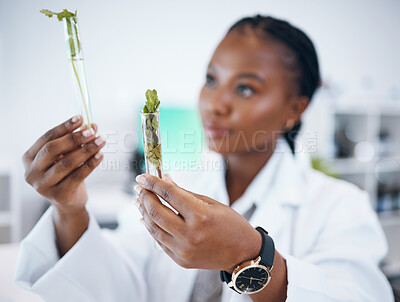 Buy stock photo Black woman, medical science and plant sample in  research laboratory, analytics and medicine. Woman, doctor or scientist study test tube at work for ecology, healthcare and future development