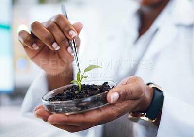 Buy stock photo Science, plants and black woman research growth, agriculture development and food security in medical study.  Fertilizer soil, eco friendly test and scientist or professional person hands for health