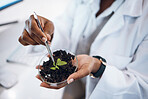 Plants research, science black woman and agriculture growth development, food security and medical study.  Fertilizer soil, eco friendly test and scientist or professional person hands for healthcare