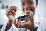 Science laboratory, black woman and plants in Petri dish for agriculture study, sustainability research and food security. Growth soil, eco friendly test and scientist or professional person portrait