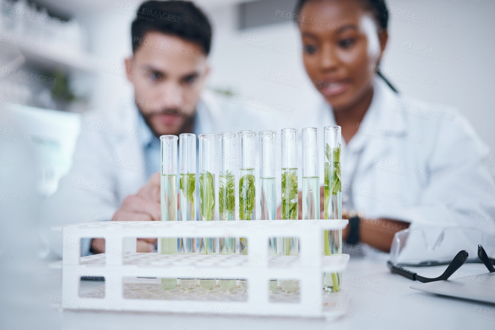 Buy stock photo Plant samples, science test tubes and lab workers in a agriculture facility doing research. Laboratory teamwork, ecology innovation and sustainable growth study with scientists working with leaf