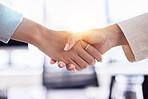 B2B partnership, support or business people handshake for welcome, collaboration or company teamwork, success and innovation. Zoom, trust or women shaking hands for deal, thank you or job promotion