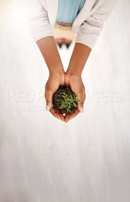 Buy stock photo Plant, soil and and investment with hands of person in office with mockup for environment, growth and climate change. Earth day, sustainability and opportunity with employee for leaf, hope or support