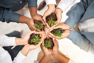 Buy stock photo Teamwork, environment and plant with hands of business people from top view for sustainability, earth day or growth. Wellness, support and soil with group for climate change, future and eco friendly 