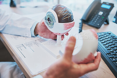 Buy stock photo Optometry, eye vision model and optometrist doing research for eye care or anatomy in the clinic. Healthcare, 3d and closeup male ophthalmologist working with a human plastic mould in a optical store