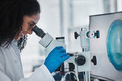 Buy stock photo Scientist, black woman and microscope, research and science innovation, microbiology or biotechnology in lab. Happy, work and scientific study with researcher, doctor and test with data analysis