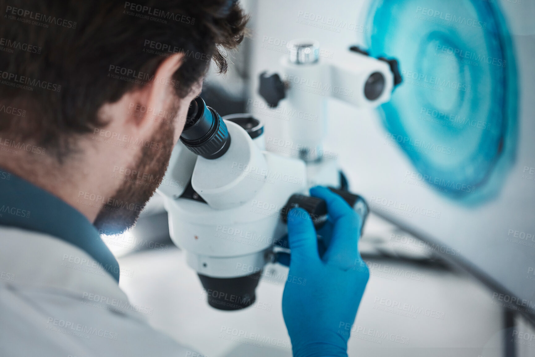 Buy stock photo Science, microscope and laboratory with a scientist checking research data from bacteria study. Chemistry lab, biotechnology and back of scientist working on chemical innovation and dna analytics 