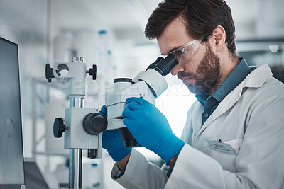 Buy stock photo Science, microscope focus and laboratory with a scientist with research data from bacteria study. Chemistry lab, biotechnology and back of working man on chemical innovation and dna analytics 
