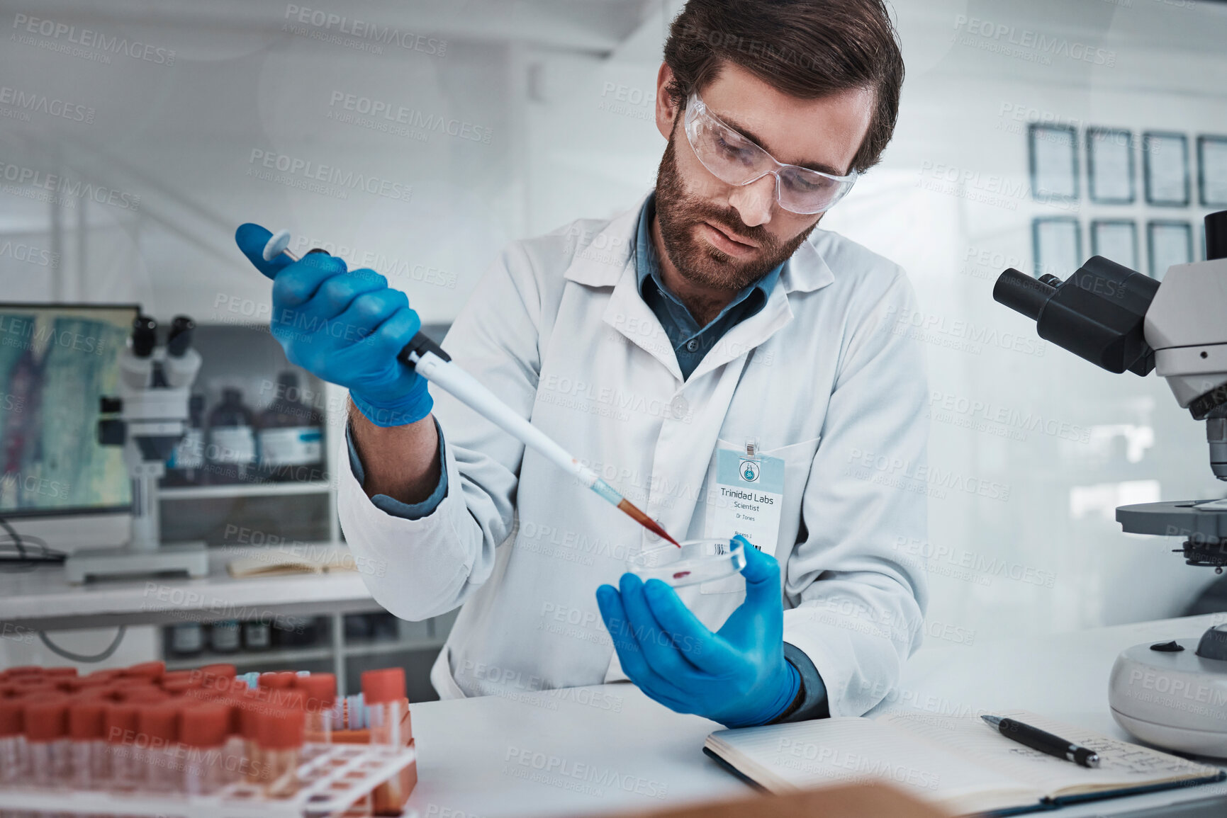 Buy stock photo Science, petri dish and man scientist for healthcare research test, analysis or neurology study in laboratory. Focus medical worker, chemistry professional or expert with blood DNA sample for cancer