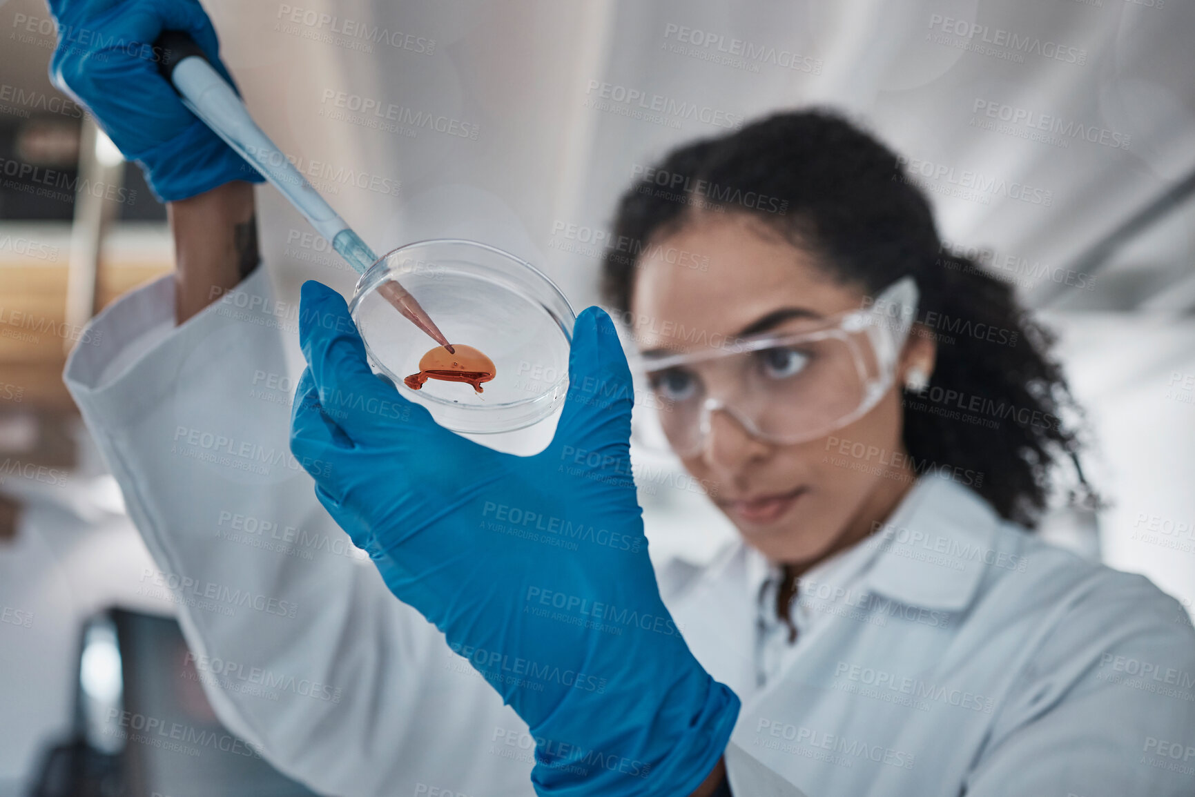 Buy stock photo Scientist, hands or petri dish pipette in laboratory research, medical vaccine study or dna blood engineering. Zoom, black woman or healthcare science on glass equipment for future dropper innovation
