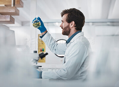 Buy stock photo Science, man and laboratory with chemical liquid for chemistry research, pharma test and biotechnology results. Medical innovation, scientist and expert studying solution of dna health investigation