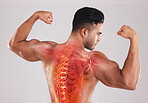 Back, man and spine with x ray, fitness and  bicep arms with guy against grey studio background. Male athlete, bodybuilder and gentleman with pain, injury or accident after training, health or strong