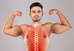 X ray, strong and portrait of a man with muscle isolated on a grey studio background. Spine, anatomy and person showing results from strength workout, training and fitness with power on a backdrop