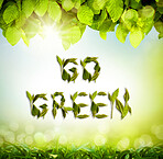 Lens flare, go green and leaves for sustainability, eco friendly and gradient background. Plants, plants and poster for earth day, environment and awareness for conservation, nature and natural care