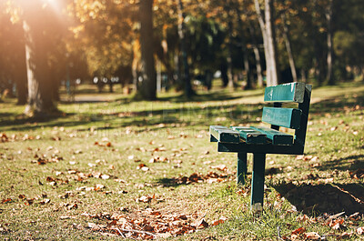 Park, bench and open with space with trees, mock up and summer for sunshine, relax and rest in nature. Forest, woods and grass outdoor with leaves, blurred background and natural landscape for peace