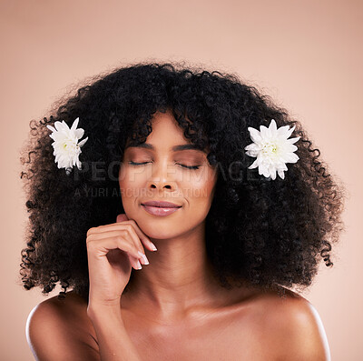Buy stock photo Eyes closed, face and black woman with flowers for hair care in studio isolated on brown background. Floral cosmetics, hairstyle makeup and beauty of happy female model with plant for salon treatment